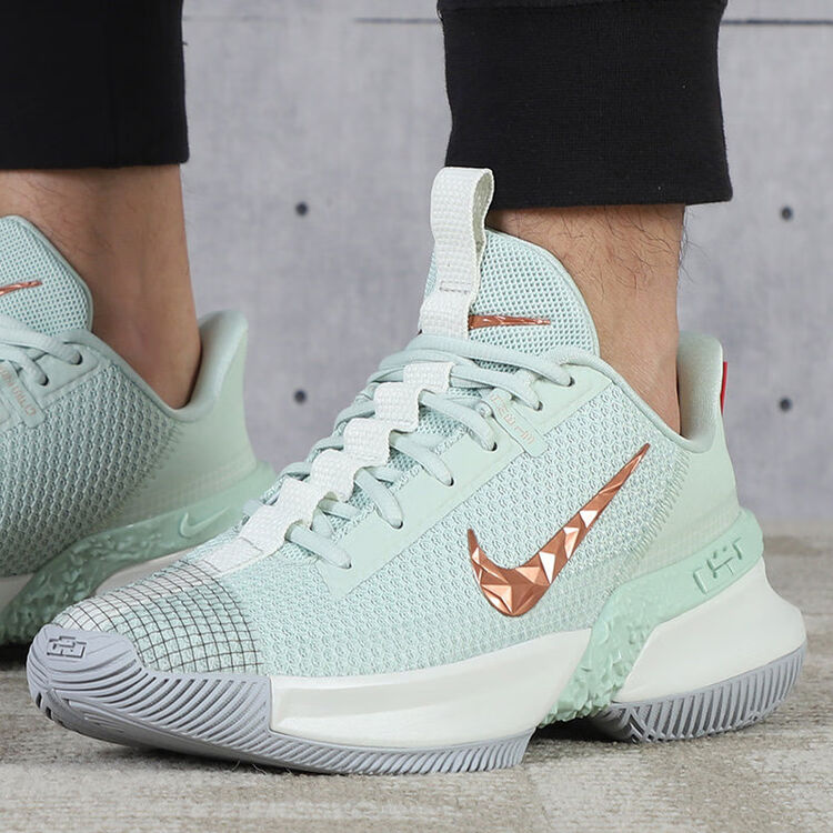 耐克nike Ambassador Xiii 詹姆斯使节13 玉玺篮球鞋cq9329 300 Cq9329 300 42 5 图片价格品牌评论 京东