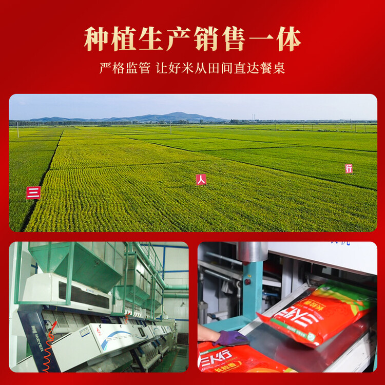 三人行东北大米 稻香2号1.25kg 2023年新米 东北哈尔滨特产 粳米2.5斤 菜管家商品