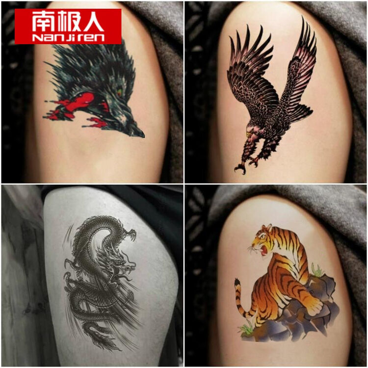 一套11张 南极人纹身贴花臂纹身贴防水男士半手臂刺青图案个性龙虎潮男文身贴纸 图片价格品牌评论 京东