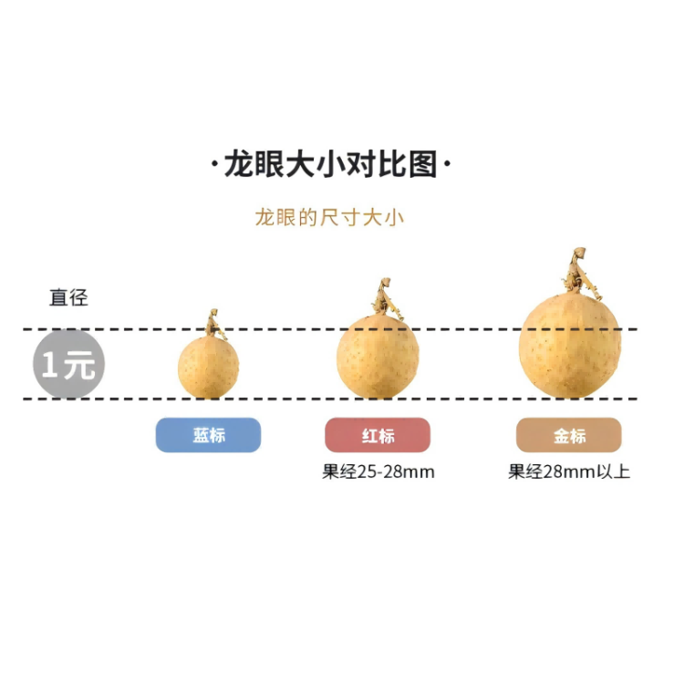 京鲜生泰国进口精选龙眼  净重1.5kg 果径23-25mm 中秋礼盒源头直发包邮 光明服务菜管家商品