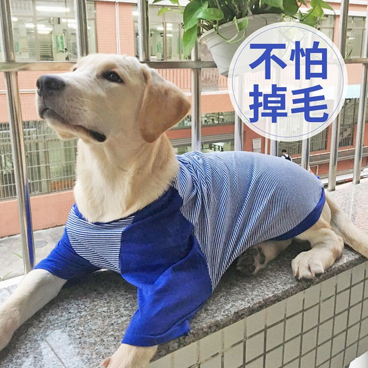Hoopet狗狗衣服夏季中型大型犬金毛柴犬拉布拉多秋冬萨摩耶宠物春夏薄款蓝色立领水手服狗狗t恤7xl 建议60 75斤 图片价格品牌评论 京东