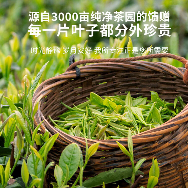 积庆里英红九号原产地大份量自饮口粮茶袋装红碎茶原叶小条300g 光明服务菜管家商品