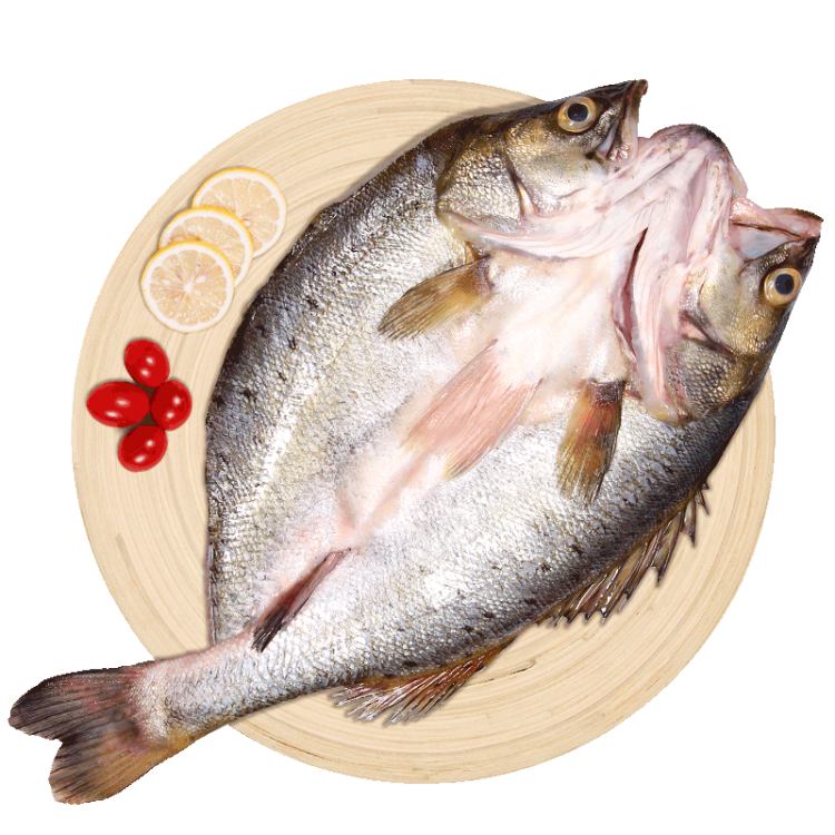 仙泉湖三去白蕉海鲈鱼500g*1条净膛冷冻刺少肉厚地标海鲜水产 光明服务菜管家商品 