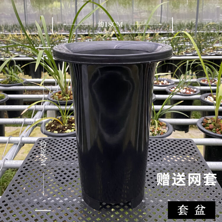 华香园绿植花卉透明兰花专用盆透气兰花盆透明花盆塑料花盆套盆 托盘 黑 1个 图片价格品牌评论 京东