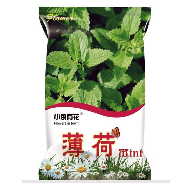 小镇有花薄荷种子留兰香薄荷美国薄荷盆栽四季阳台易种驱蚊柠檬薄荷花卉植物种籽留兰香薄荷种子大约1000粒厂商封装 图片价格品牌评论 京东