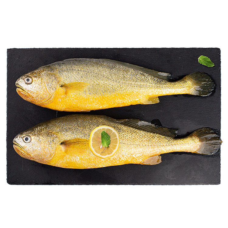海名威 冷冻黄花鱼700g/2条 宁德大黄鱼地标认证 海鲜海鱼 生鲜鱼类 菜管家商品