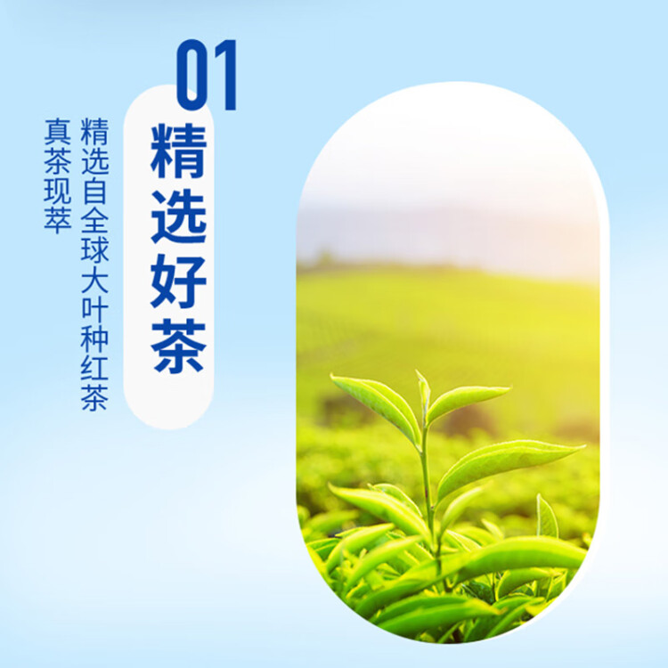 统一 阿萨姆奶茶 原味奶茶 奶茶饮料 500ml*15瓶 整箱 光明服务菜管家商品