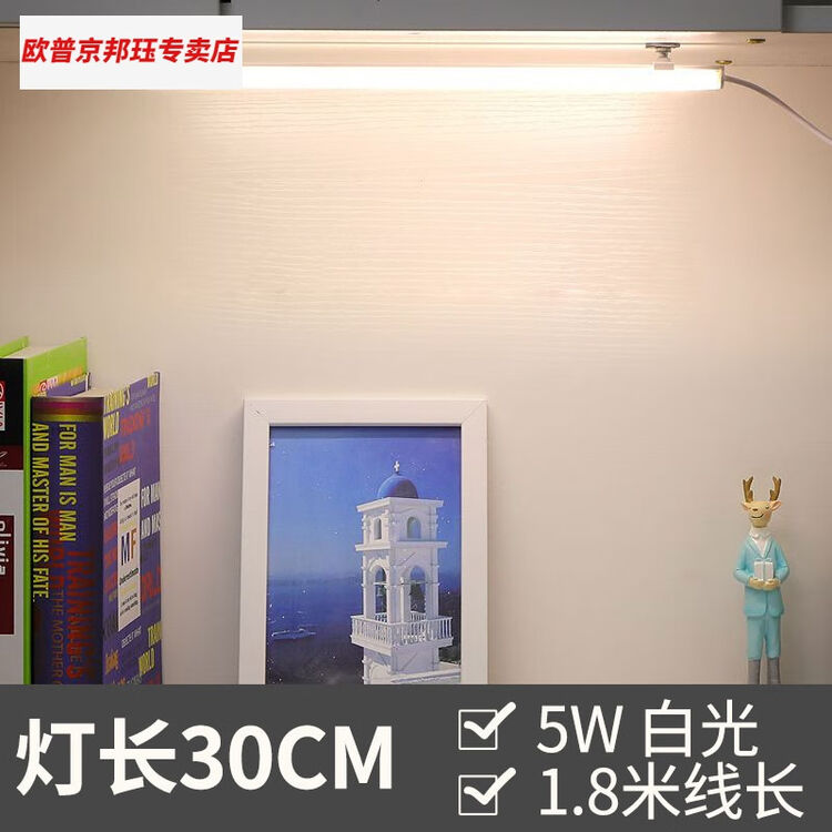 欧普京简约长条LED办公室吊i灯长方形吸顶灯工作室会议室健身房教室超市 吸顶款30cm 5W白光【限i购一个】【图片 价格 品牌 评论】-京东