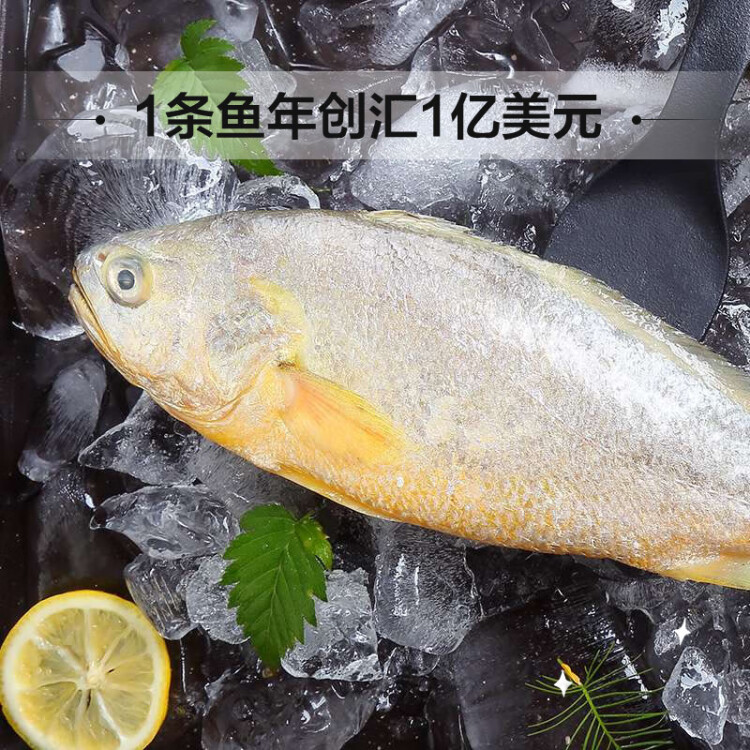 三都港 冷冻宁德大黄鱼700g 2条装 黄花鱼 生鲜 鱼类 深海鱼 海鲜水产 光明服务菜管家商品 