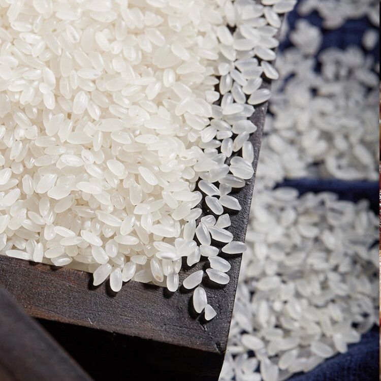 稻可道 東北長粒香米 5kg 東北大米10斤 2022年新米
