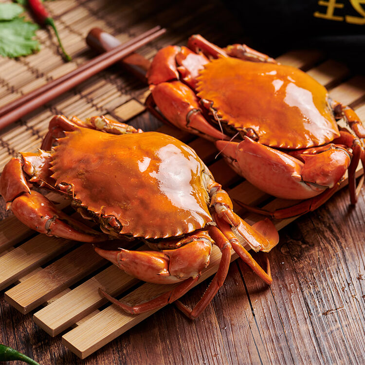活鲜鲟食生鲜正宗黄油蟹头手膏油肉蟹膏蟹青蟹海鲜水产超大螃蟹现货发