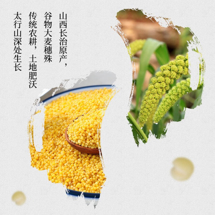 十月稻田 24年新米 山西黄小米 2.5kg 五谷杂粮 粗粮 早餐小米粥 真空5斤 菜管家商品