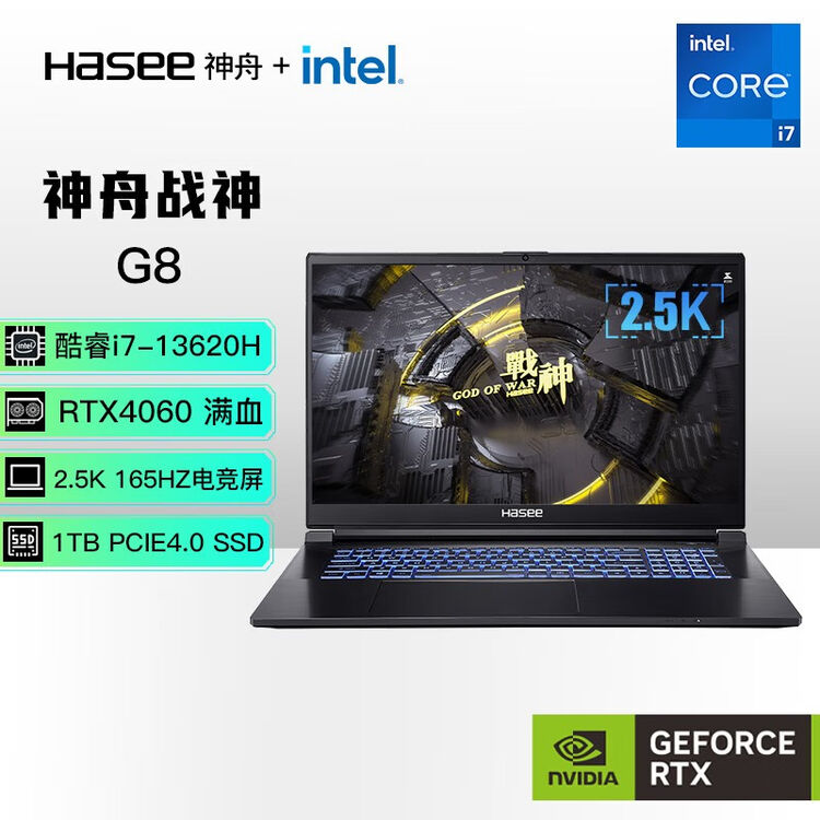 神舟（HASEE） 神舟战神G8R9/G9R9/G12-DA9NT独显4060/4070 17.3英寸游戏笔记本电脑 G8（32G版）：十三代 ...
