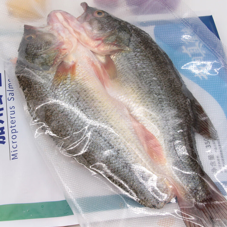 仙泉湖三去加州鲈鱼 350g*1条净膛河鲈冷冻刺少肉厚 海鲜水产 光明服务菜管家商品 