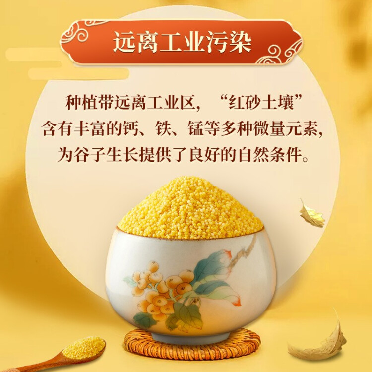 十月稻田 24年新米 山西黄小米 2.5kg 五谷杂粮 粗粮 早餐小米粥 真空5斤 菜管家商品