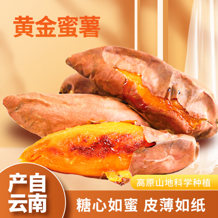 京百味云南高原黄金蜜薯 1kg简装 红薯 甜蜜流汁 来自高原  光明服务菜管家商品 