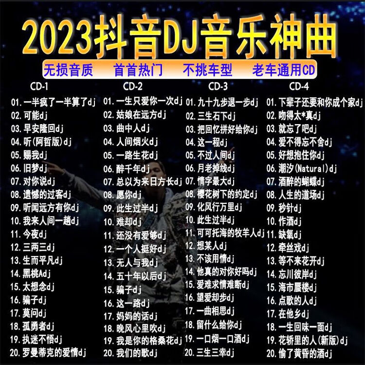 车载cd碟片光盘经典老歌DJ正版无损中文老歌DJ怀旧金曲大海DJ歌曲 4碟无损音质CD【图片 价格 品牌 评论】-京东