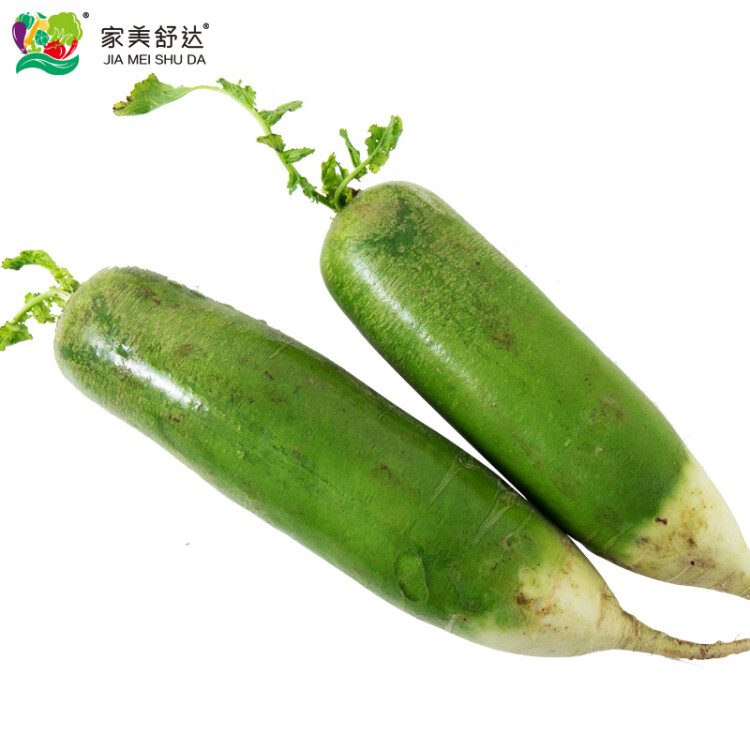家美舒達 濰坊蘿卜 約2.5kg 甜脆水果蘿卜 綠青蘿卜 新鮮蔬菜 