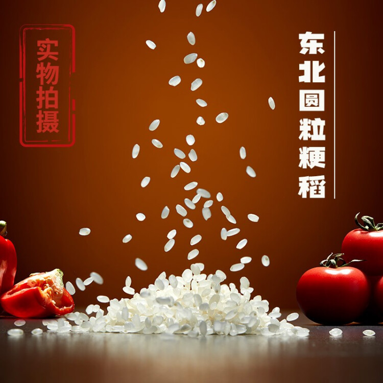 稻可道 東北珍珠米 5kg 東北大米10斤 2022年新米