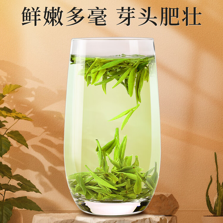 一杯香茶叶绿茶正宗明前龙井茶250g2025新茶过年货礼盒装送礼自己喝自饮 菜管家商品