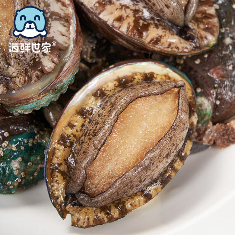 海鲜世家 福建冷冻大鲍鱼360g 8粒 火锅 烧烤食材 生鲜 贝类 光明服务菜管家商品 