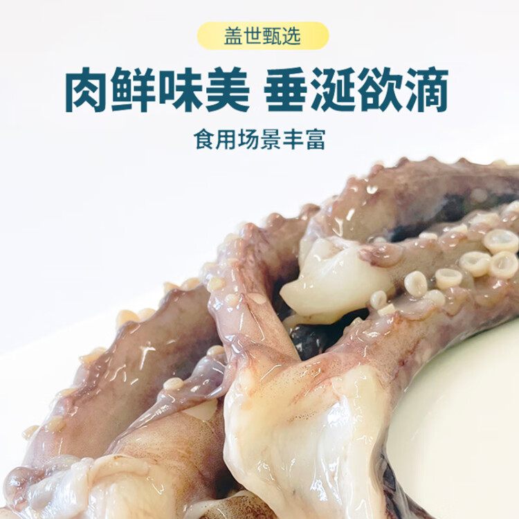 蓋世 冷凍魷魚須1斤裝 燒烤火鍋食材 海鮮水產 二本足魷魚須 菜管家商品