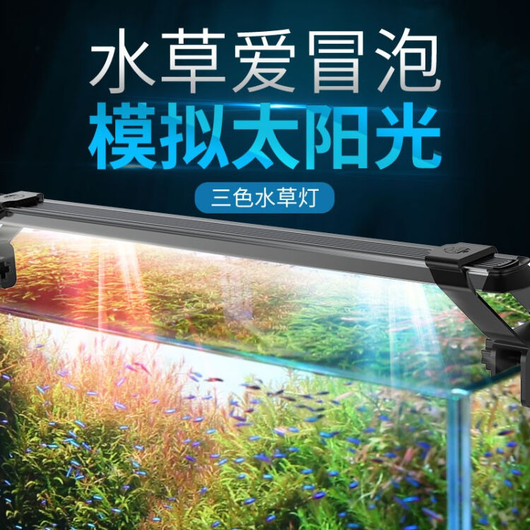 老漁匠鱼缸灯led灯水族箱水草灯防水草缸灯照明专用高透光三基色水族造景灯爆藻灯led蓝白 55cm 适合鱼缸55 65cm 图片价格品牌评论 京东