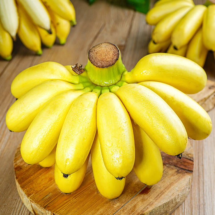 广西小米蕉当季水果新鲜3/5/10斤自然熟banana整箱苹果小香蕉 5000g