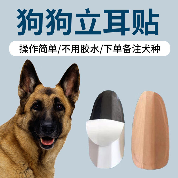 吾辈是猫狗狗立耳器杜宾犬耳朵辅助神器狼青柯基马犬矫正贴莱州红德牧马犬竖耳朵贴泰迪