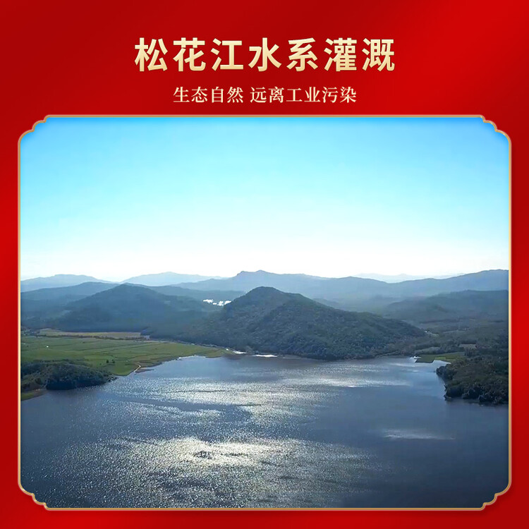 三人行东北大米 稻香2号1.25kg 2023年新米 东北哈尔滨特产 粳米2.5斤 菜管家商品