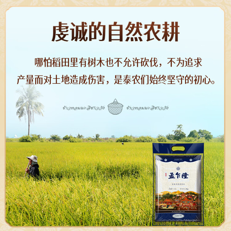 孟乍隆 蘇吝府茉莉香米 泰國香米 進(jìn)口大米 大米5kg 菜管家商品