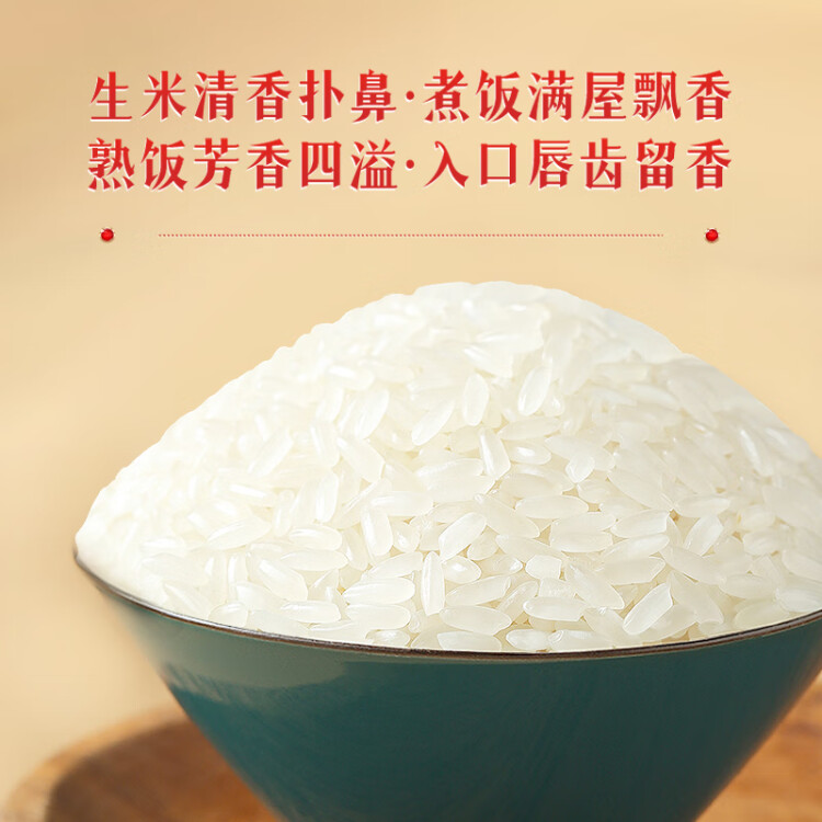 柴火大院2023年新米 生态稻香米 5kg（ 东北大米 五公斤） 光明服务菜管家商品 
