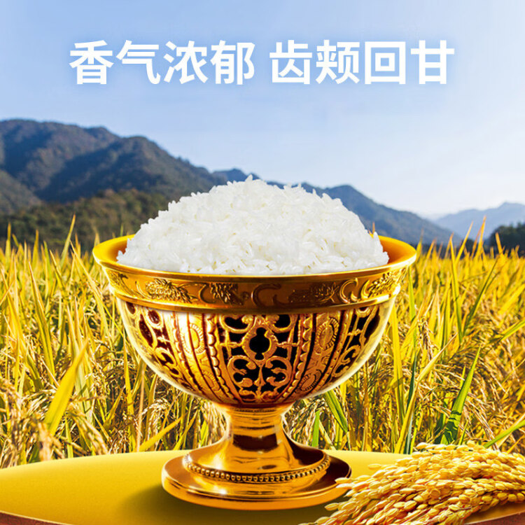 太粮  柬埔寨茉莉香米 进口原粮 大米 长粒香米 5kg 光明服务菜管家商品 
