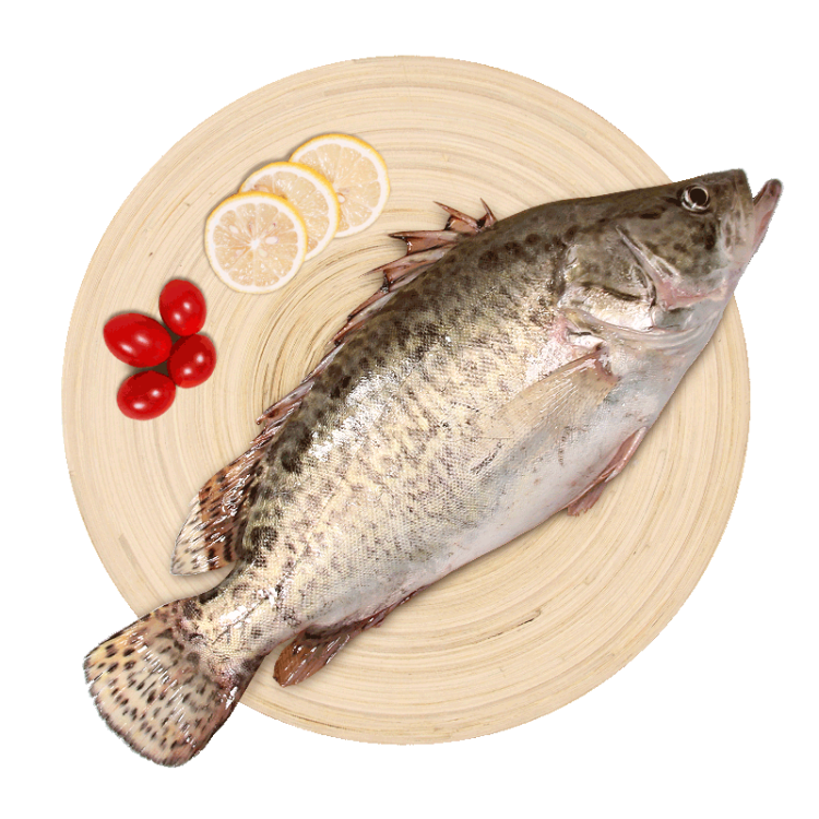 仙泉湖三去桂花魚400g/條凈膛冷凍鱖魚無(wú)細(xì)刺海鮮水產(chǎn) 光明服務(wù)菜管家商品