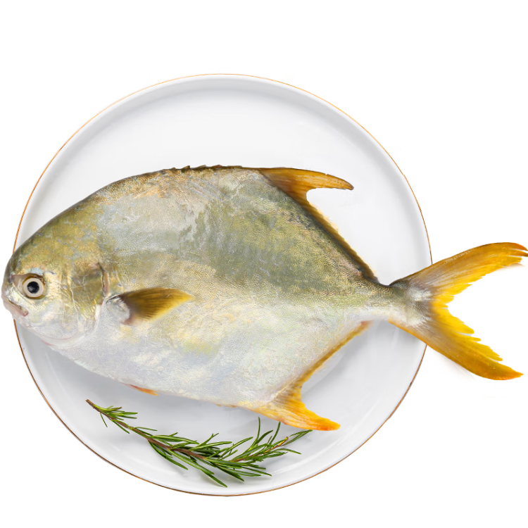 翔泰 冷凍海南金鯧魚550g 海魚 生鮮 魚類  火鍋燒烤 海鮮水產