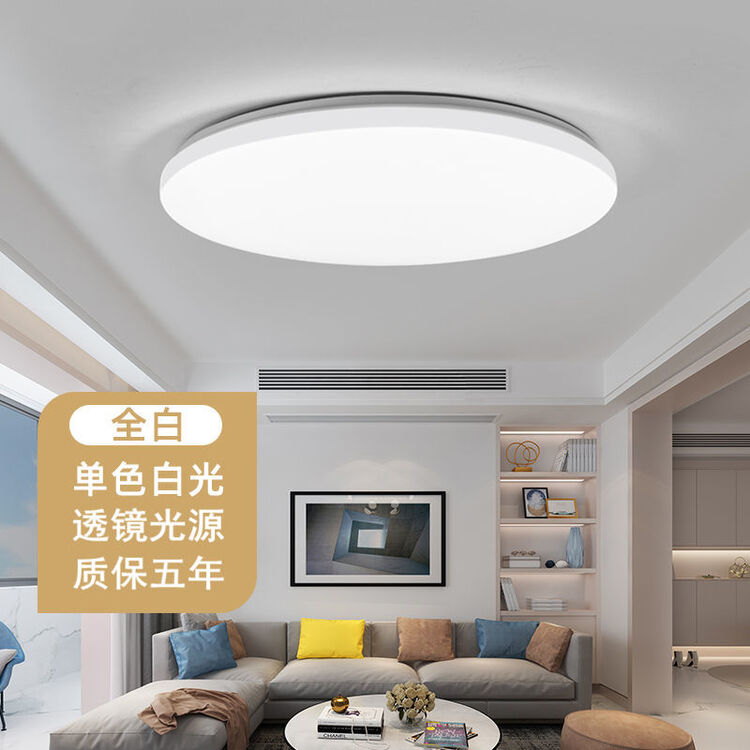 【2022款新升级】广东中山古镇灯具吸顶灯LED客厅灯圆形卧室灯北欧简约现代过道阳台灯超亮书房 全白 21厘米白光12瓦【图片 价格 品牌 ...