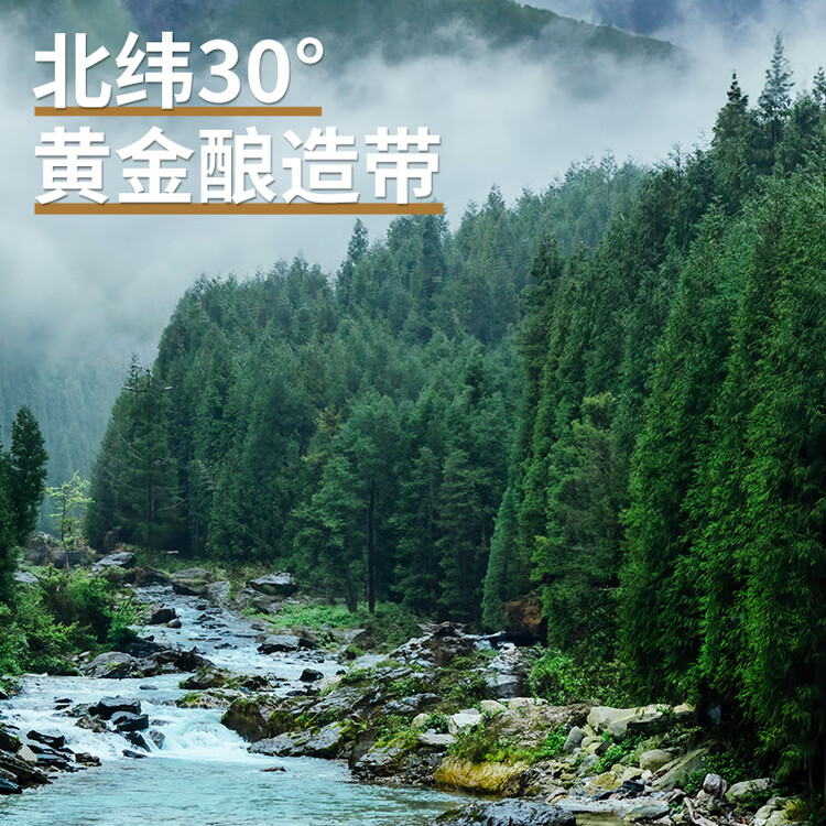 千禾零添加 280天酱油 500mL【0添加特级生抽】酿造家用烹饪调料 菜管家商品