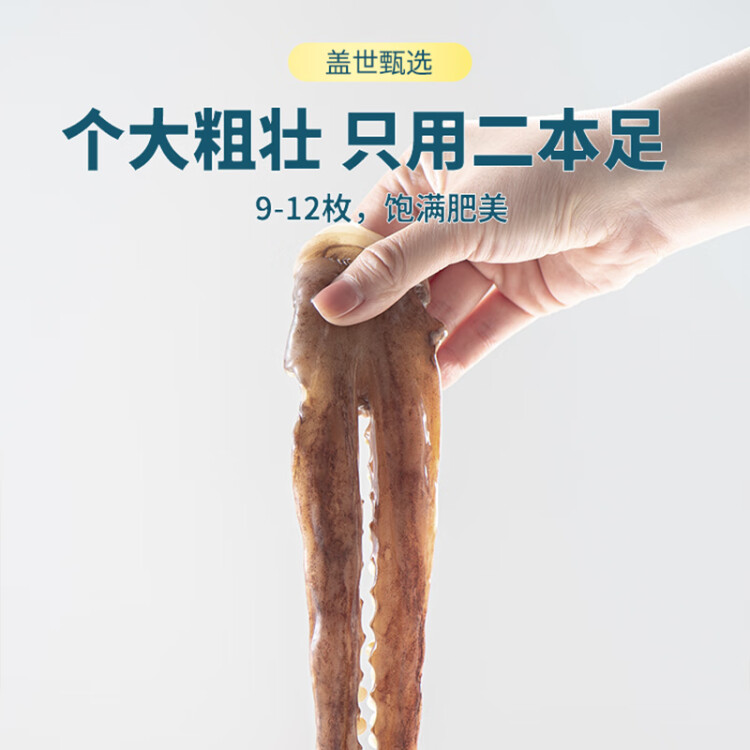 蓋世 冷凍魷魚須 500g/袋  燒烤火鍋食材 海鮮水產(chǎn) 菜管家商品