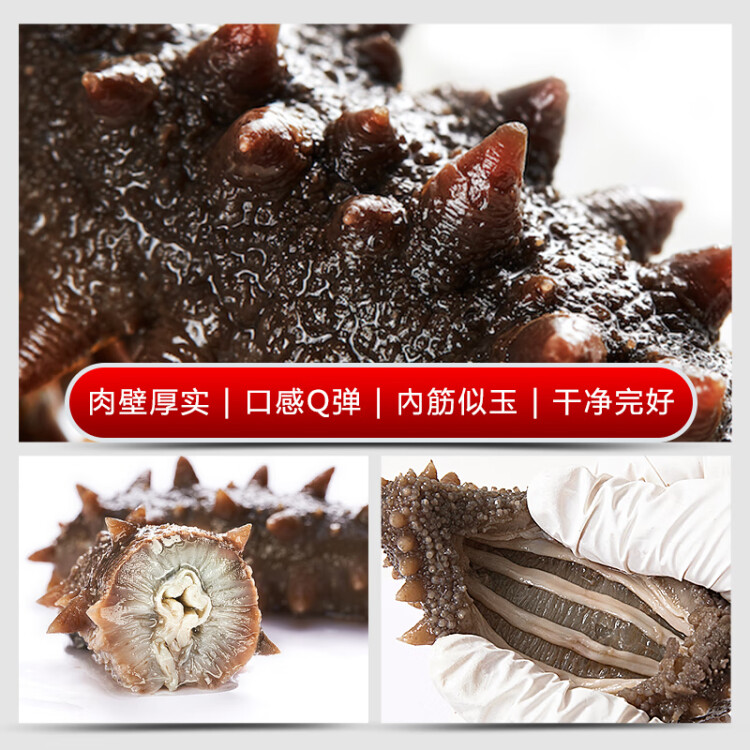 國(guó)善堂大連淡干海參250g30-40頭深海底播遼刺參皇冠海鮮干貨 菜管家商品