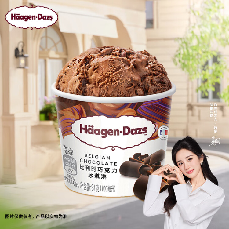 哈根达斯（Haagen-Dazs）【杨幂同款】经典比利时巧克力口味冰淇淋 100ml/杯 菜管家商品