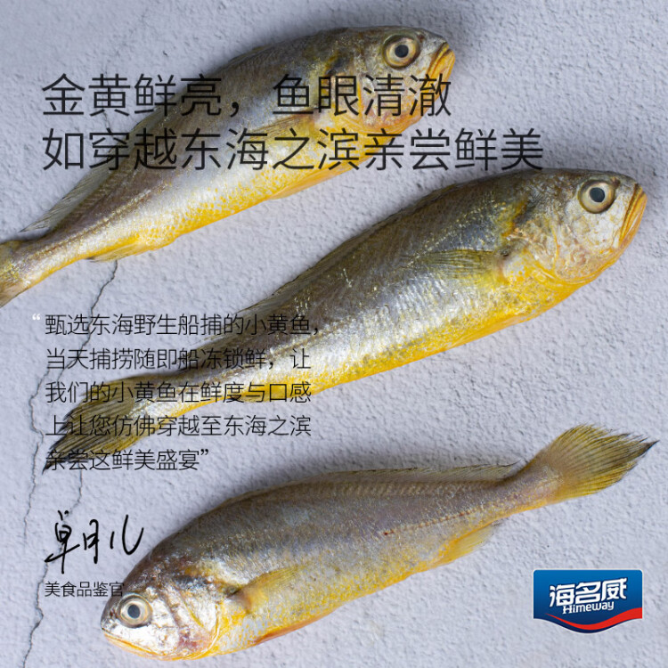 海名威 冷凍東海小黃魚(yú)500g 16-20條 海魚(yú) 生鮮魚(yú)類 海鮮水產(chǎn) 燒烤 菜管家商品