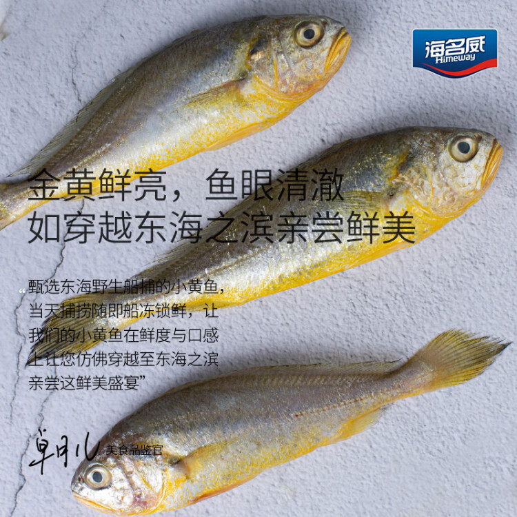 海名威 冷凍東海小黃魚(yú)500g 16-20條 海魚(yú) 生鮮魚(yú)類 海鮮水產(chǎn) 燒烤 菜管家商品