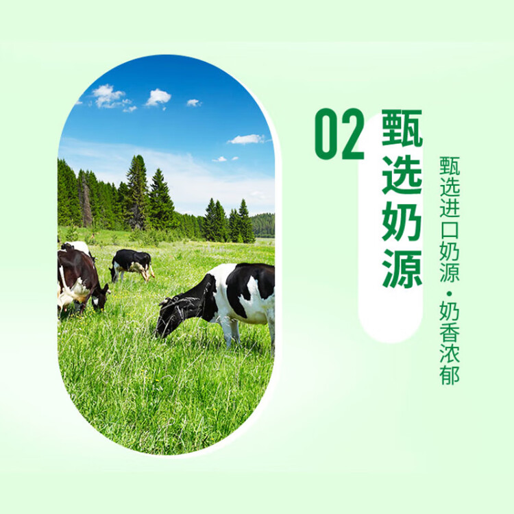 統(tǒng)一 阿薩姆煎茶奶綠 450ml*15瓶唐式古風(fēng)煎茶（新老包裝隨機發(fā)貨） 光明服務(wù)菜管家商品