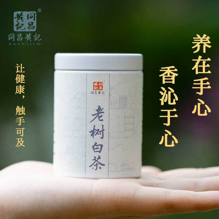 同昌黄記老树白茶迷你小龙珠15克/罐
