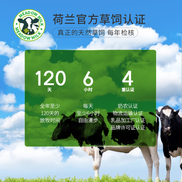 荷高（Globemilk）荷兰原装进口 3.7g优乳蛋白有机全脂纯牛奶 1L*6 营养高钙早餐奶 光明服务菜管家商品