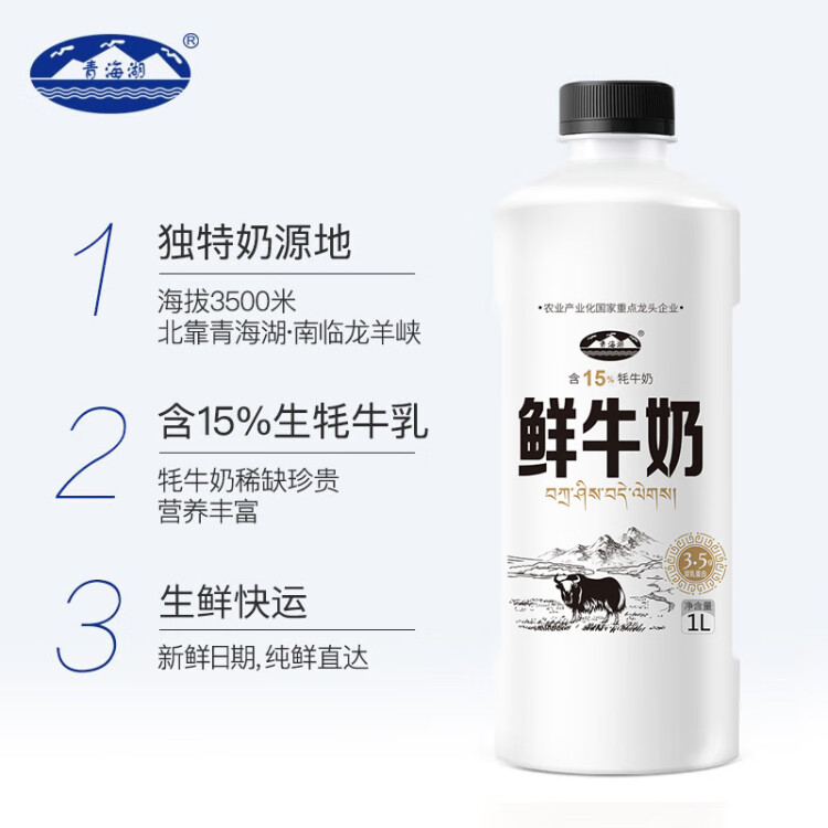 青海湖 鲜牛奶1L  含15%牦牛奶  鲜奶 低温奶 巴氏杀菌奶 无添加剂 光明服务菜管家商品 