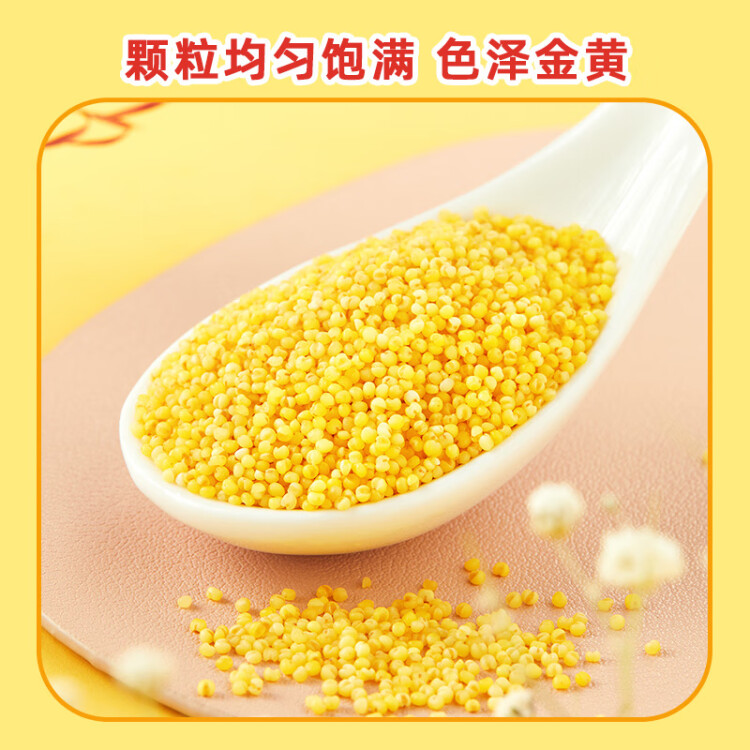 十月稻田 黄小米 1kg(小米粥 五谷杂粮 小黄米 米饭伴侣 粥米) 菜管家商品