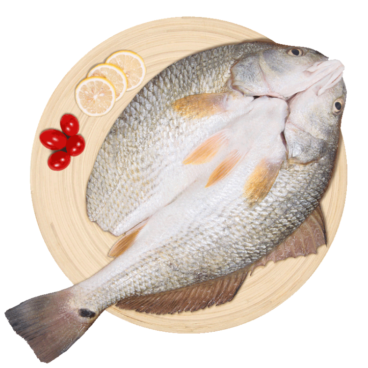 仙泉湖三去斑點尾鱸魚1斤單條凈膛后冷凍肉厚刺少 海鮮水產(chǎn)生鮮食材 菜管家商品