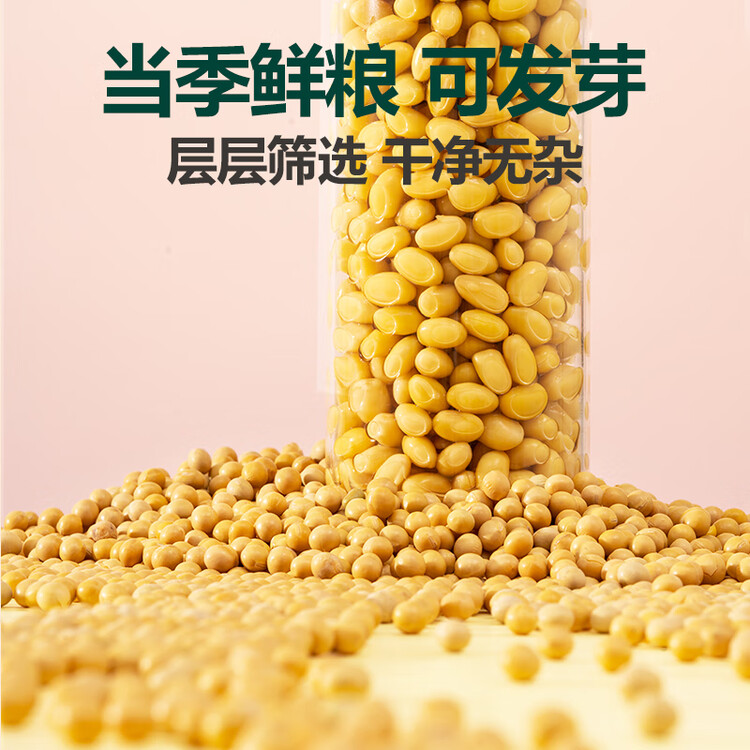 北纯 精制黄豆2斤/袋（高膳纤高叶酸可发豆芽打豆浆东北大豆杂粮 ） 菜管家商品