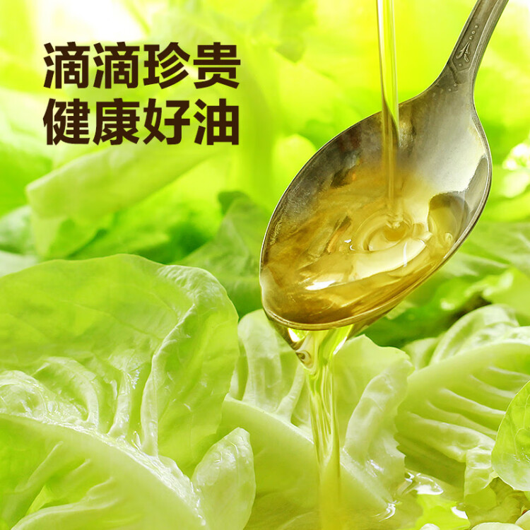 西王 食用油 玉米胚芽油 4L 非转基因物理压榨 光明服务菜管家商品